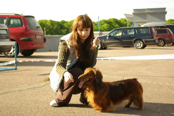 University works: proba1